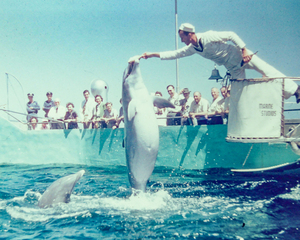 Found and Restored - Here Mammal Mammal  - Kodachrome