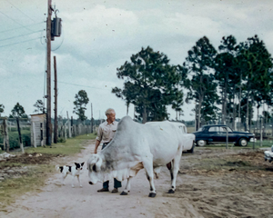 Found and Restored - Farm Family on the Road - Kodachrome