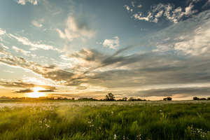 Nature Photography - Sunset Field - Busch Wildlife MO