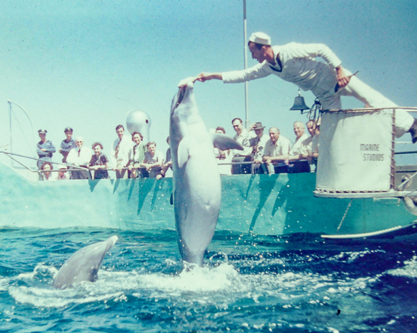 Found and Restored - Here Mammal Mammal  - Kodachrome Print