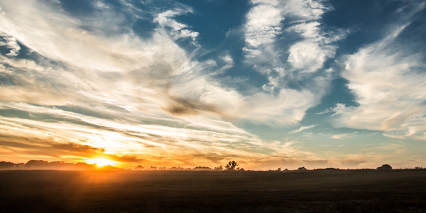 Artwork - Dusty Sunset - Busch Wildlife MO Print