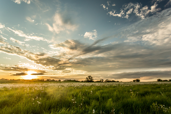 Nature Photography - Sunset Field - Busch Wildlife MO Print