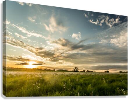 Nature Photography - Sunset Field - Busch Wildlife MO Canvas Print