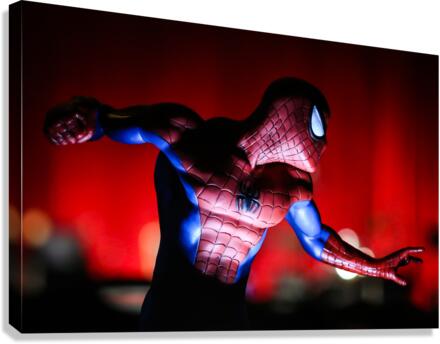 Nerd Cave Photography - Profile A La Spidey  Canvas Print