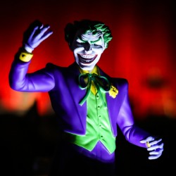 Nerd Cave Photography - Ol Joker  1