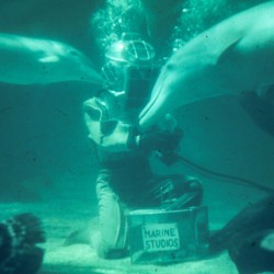 Found and Restored - Hello Friends  - Kodachrome