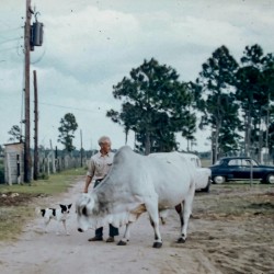 Found and Restored - Farm Family on the Road - Kodachrome