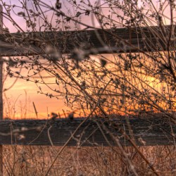 Nature Photography - Sunset at the Park - Quail Ridge Park MO