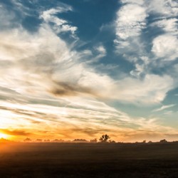 Artwork - Dusty Sunset - Busch Wildlife MO