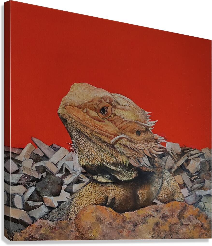  Iguana  Canvas Print