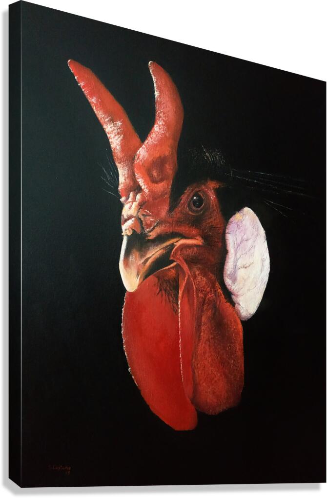  Gallina Fleche  Canvas Print