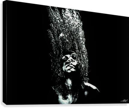 ASTRO FLIGHT Canvas Print