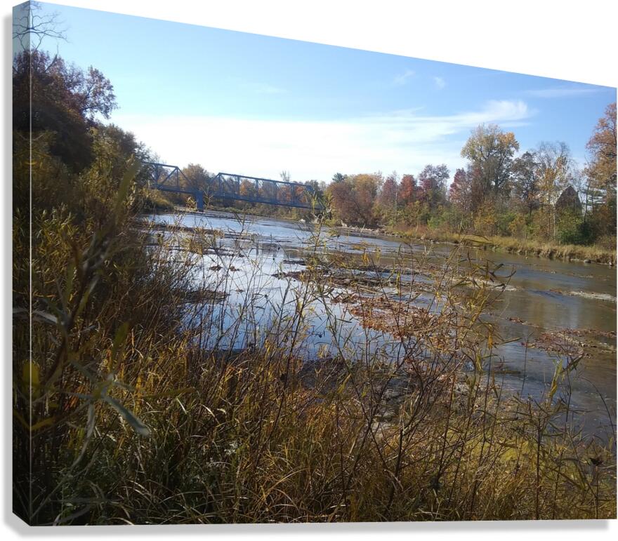 RIVER EDGE Canvas Print