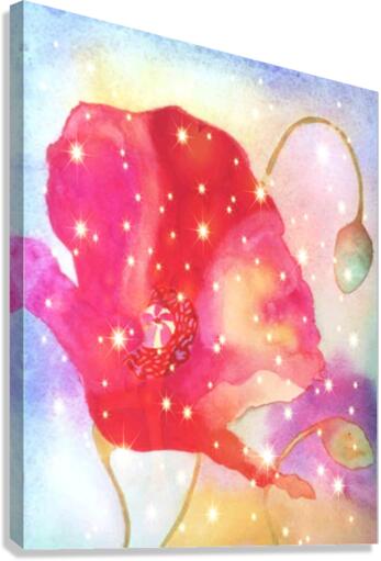 sparkles.v1 Canvas Print