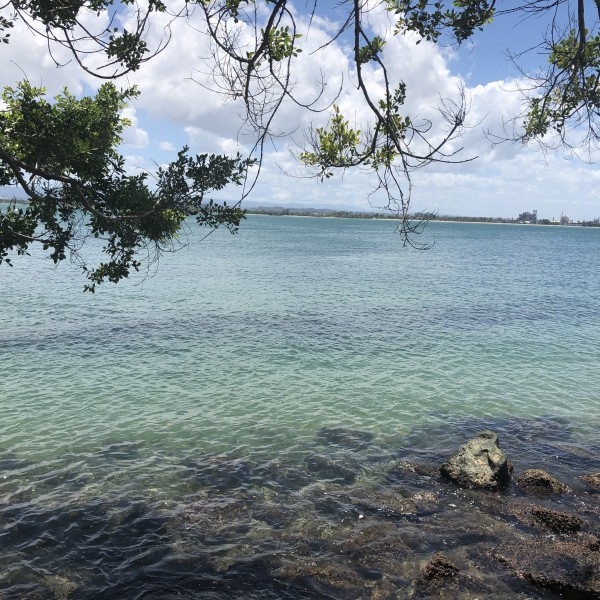 A Street Side in Puerto Rico Series: 3 by Anushree Sengupta