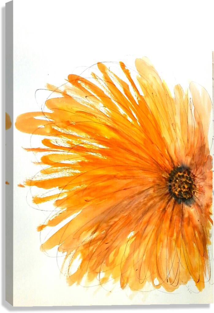 Marigold Magic Canvas Print
