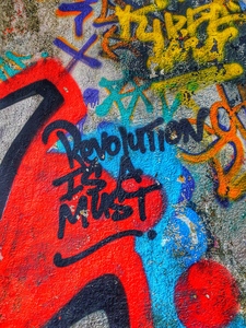 The Revolution