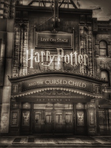 The Yonge Harry Potter