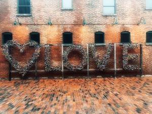 District Love