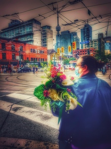 Spadina Flowers