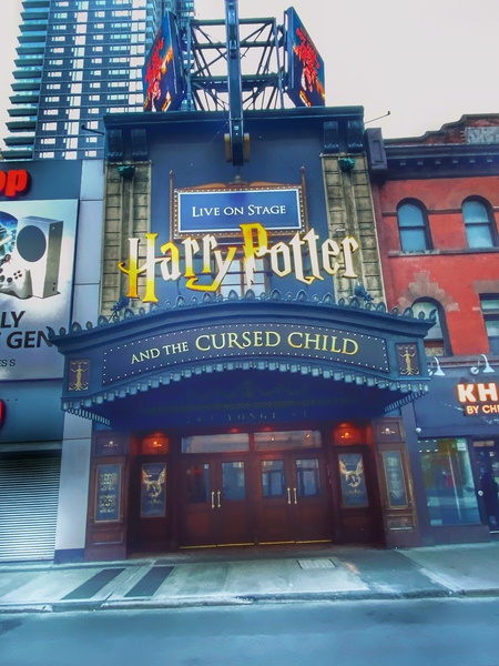 Potter Look Print