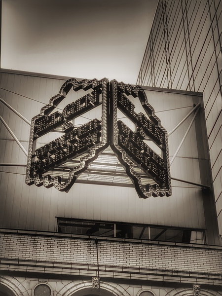 Yonge Sign Print