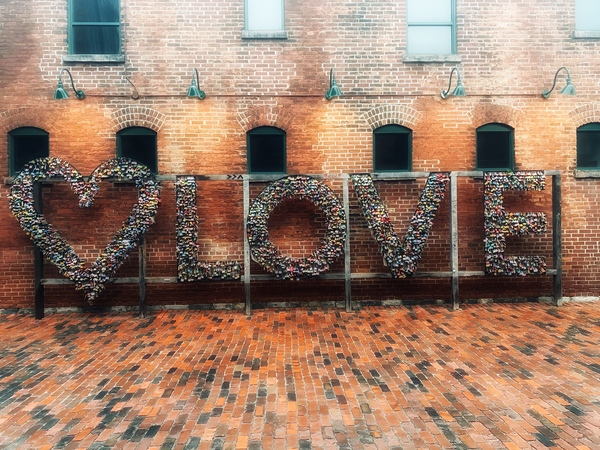 District Love Print