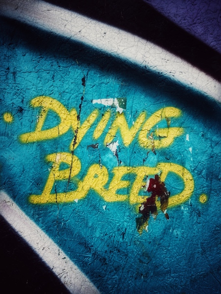 Dying Message Print