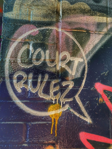 Court Rules Print