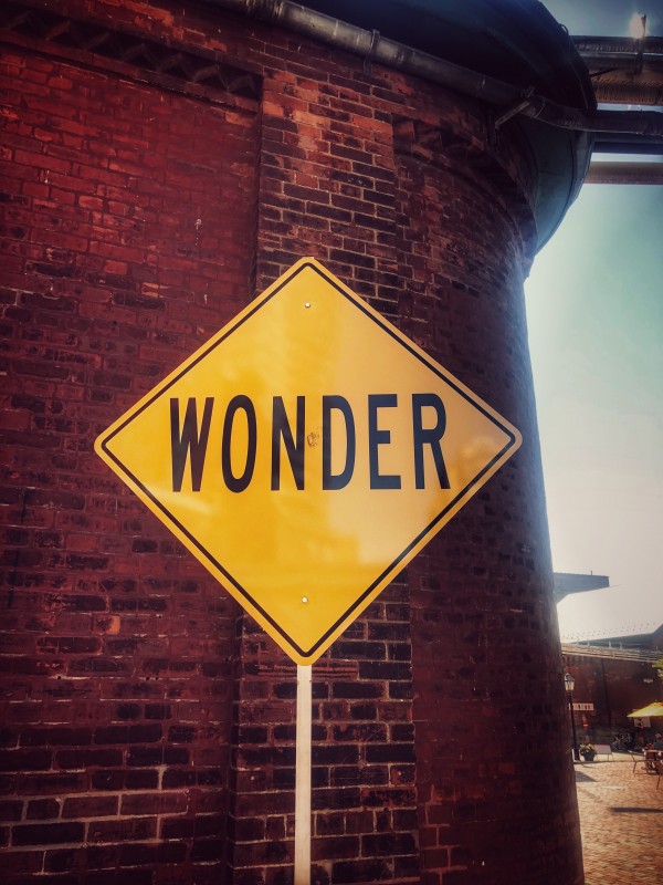 Just Wonder Print