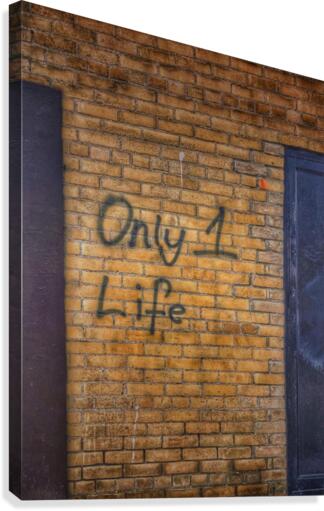 Only 1 Life Canvas Print