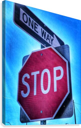 What Way Canvas Print