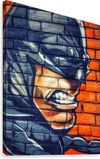 Bat Face Canvas Print