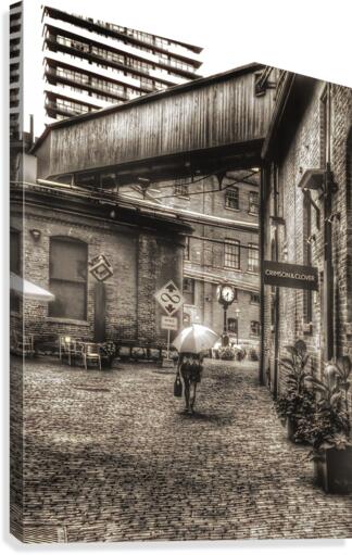 District Walk  Canvas Print