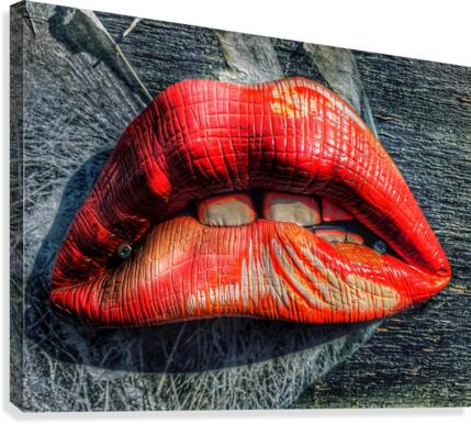 Just Plain Lips Canvas Print