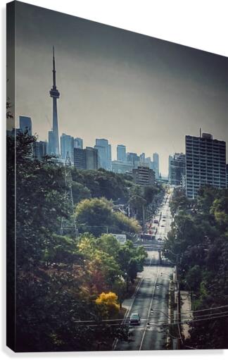 City View Canvas Print