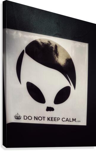 Do Not Keep Calm Canvas Print