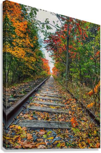 Fall Tracks Canvas Print