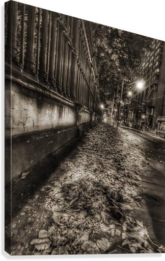 Queen West  Canvas Print