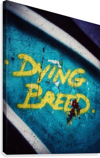 Dying Message Canvas Print
