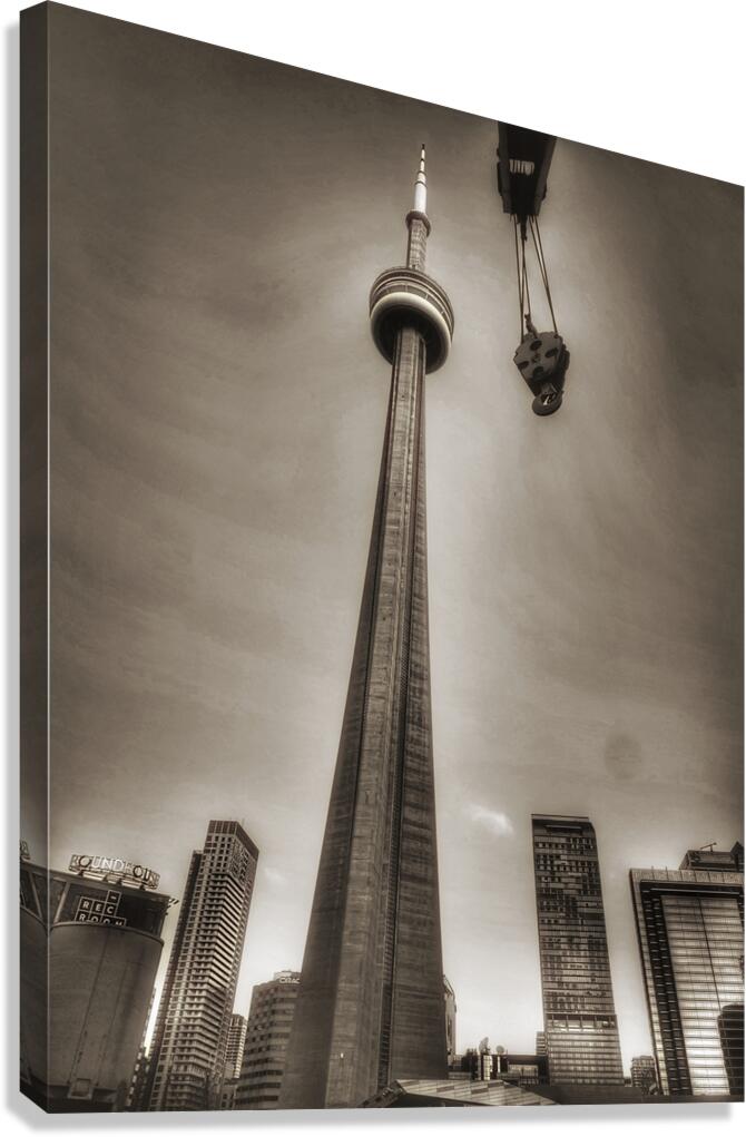 Black & White  Canvas Print
