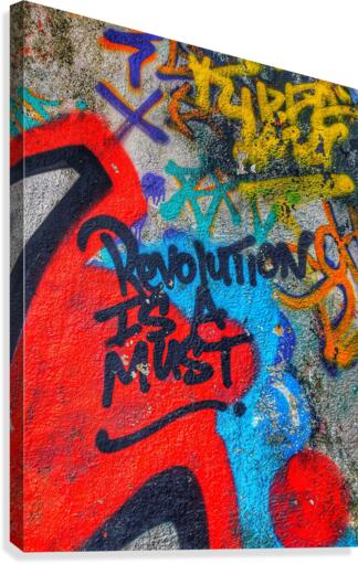 The Revolution Canvas Print