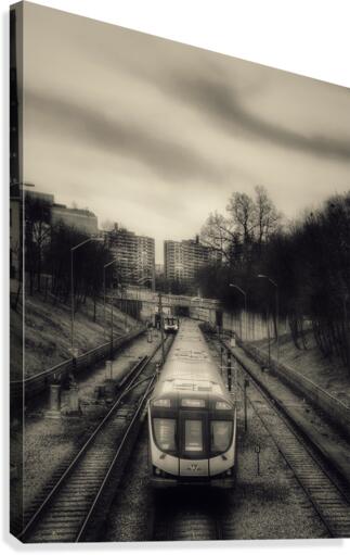 Yonge Line Canvas Print