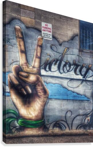 Graffiti V Canvas Print