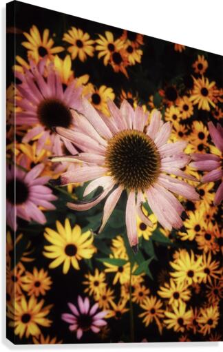 Flower Power Canvas Print