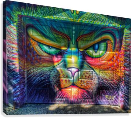Graffiti Cat Canvas Print