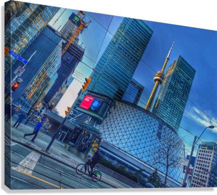 King Roy Canvas Print