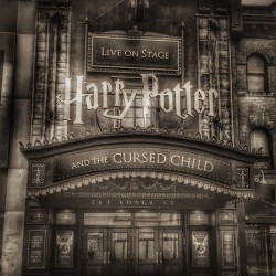 The Yonge Harry Potter