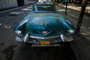 Cuban Classic
