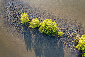 Tranquility II